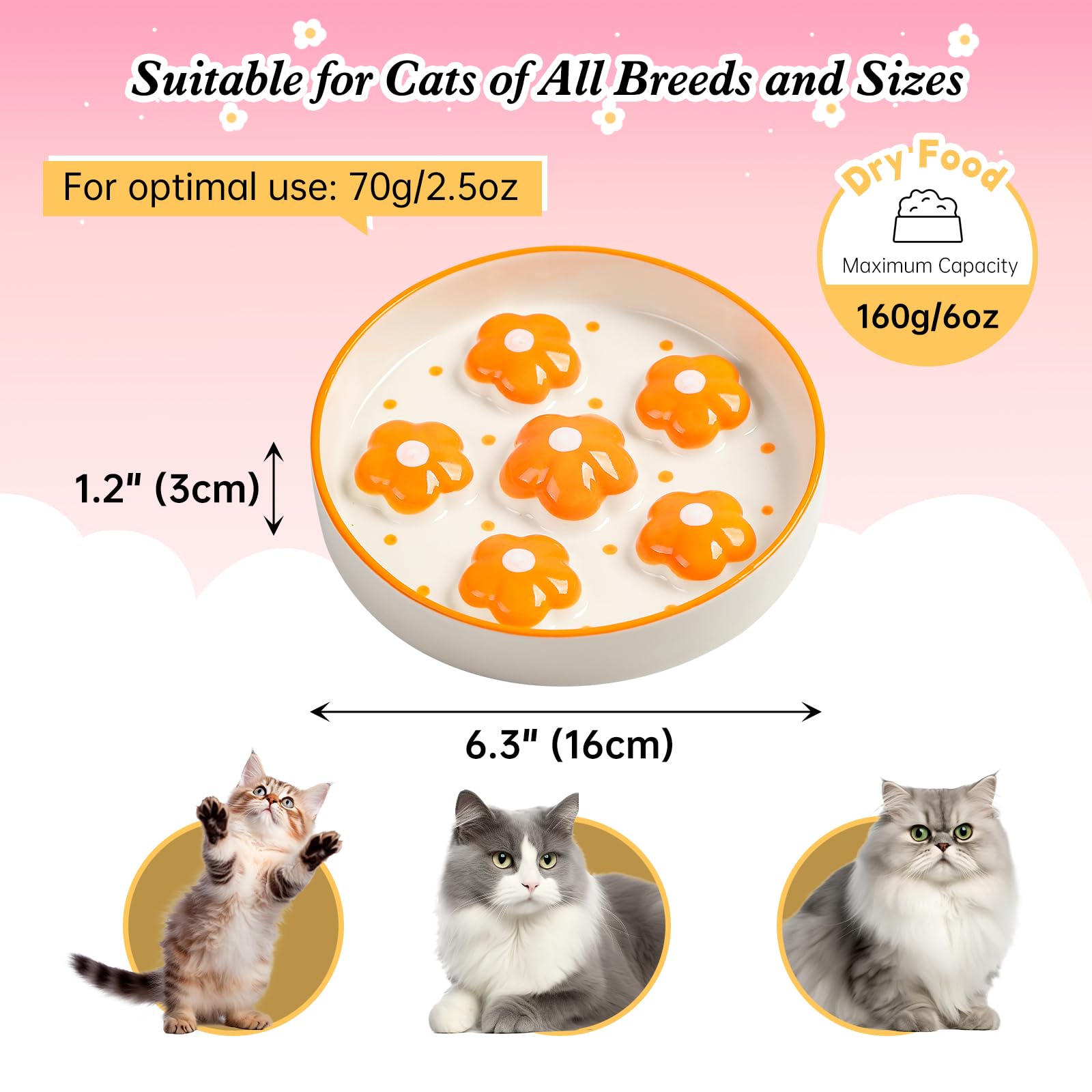 PTOBER slow-feeder bowl features wide 6.3 inch diameter to protect whiskers during meals.