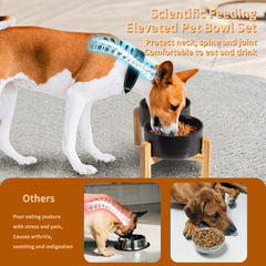 PTOBER 6-inch ceramic bowl (28 oz) suited for small-to-medium dogs.