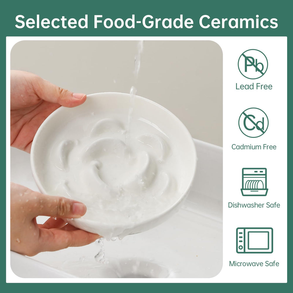 PTOBER dishwasher-safe cat bowl ready for easy cleaning after meals.