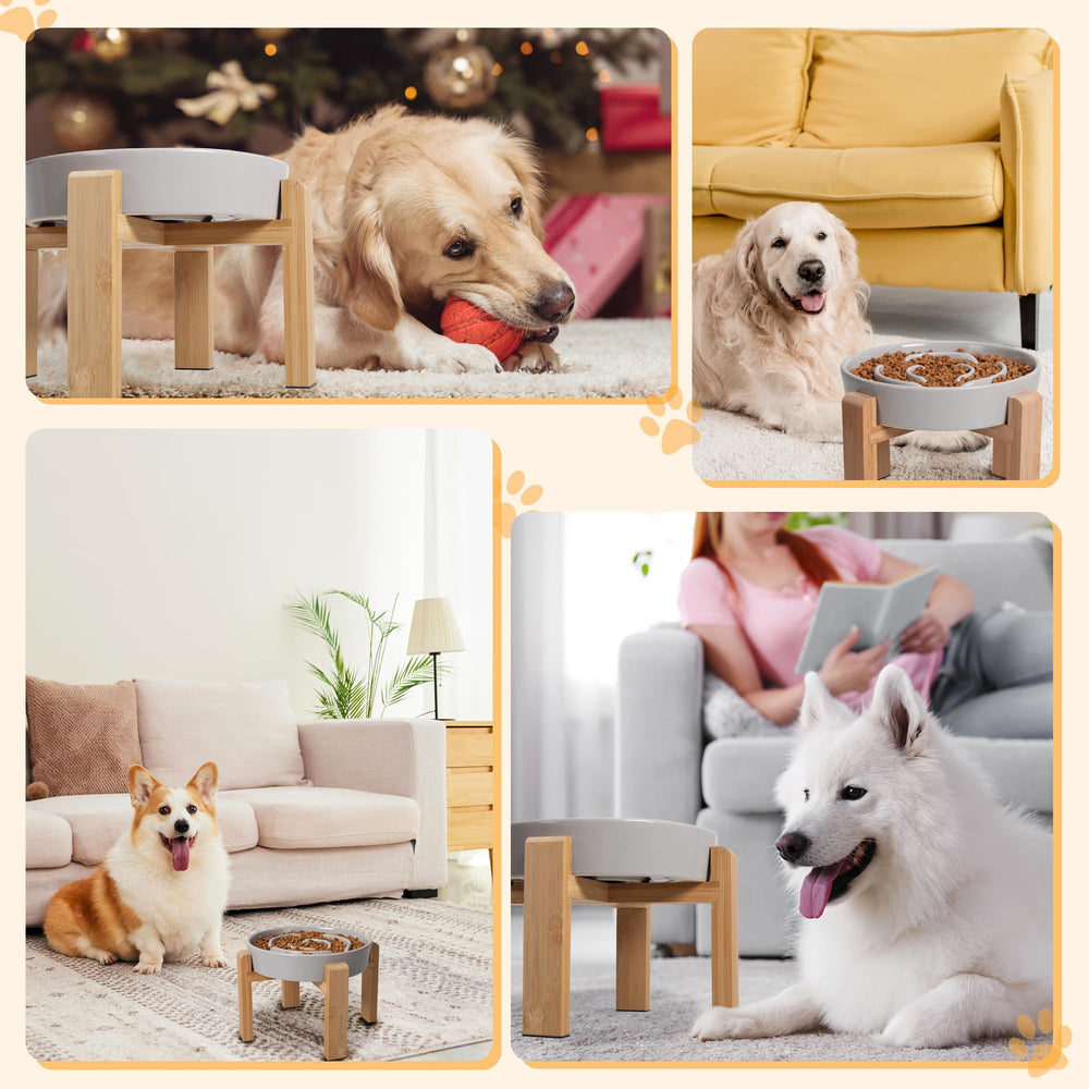 PTOBER dishwasher-safe ceramic bowl simplifies post-meal cleanup.