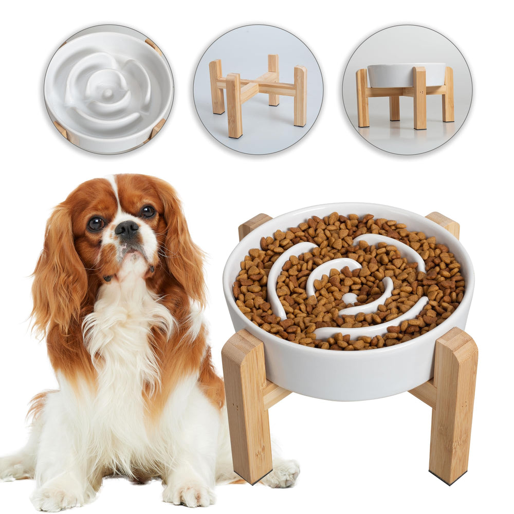 PTOBER elevated slow-feeder bowl ceramic for durable, calmer meals.