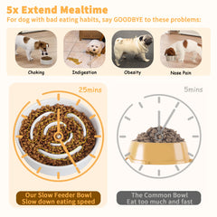 PTOBER elevated slow-feeder bowl inside view reveals mindful-feeding maze.