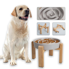 PTOBER elevated slow-feeder bowl setup promotes calmer, paced meals for dogs.