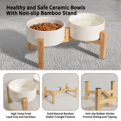 PTOBER glossy ceramic dog bowls highlight clean, dust-free dining