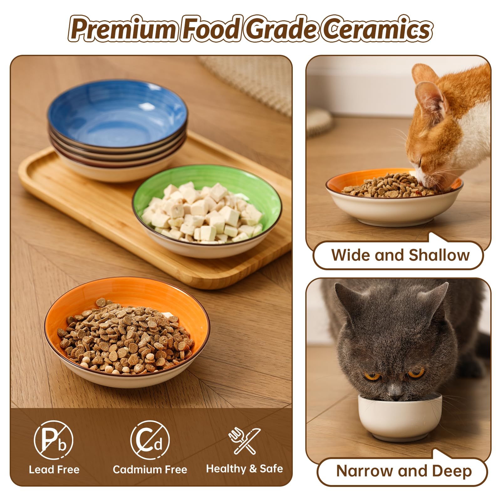 PTOBER rainbow-hand-painted edges add color and style to cat mealtime