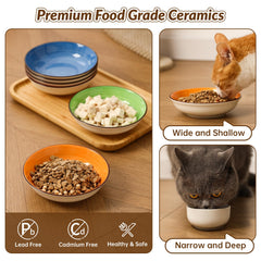PTOBER rainbow-hand-painted edges add color and style to cat mealtime