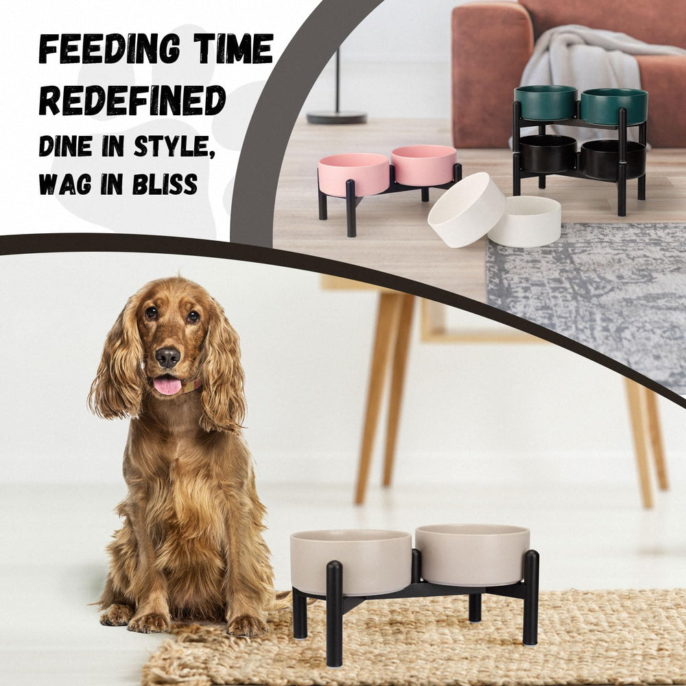PTOBER compact mealtime setup for small-to-medium dogs.