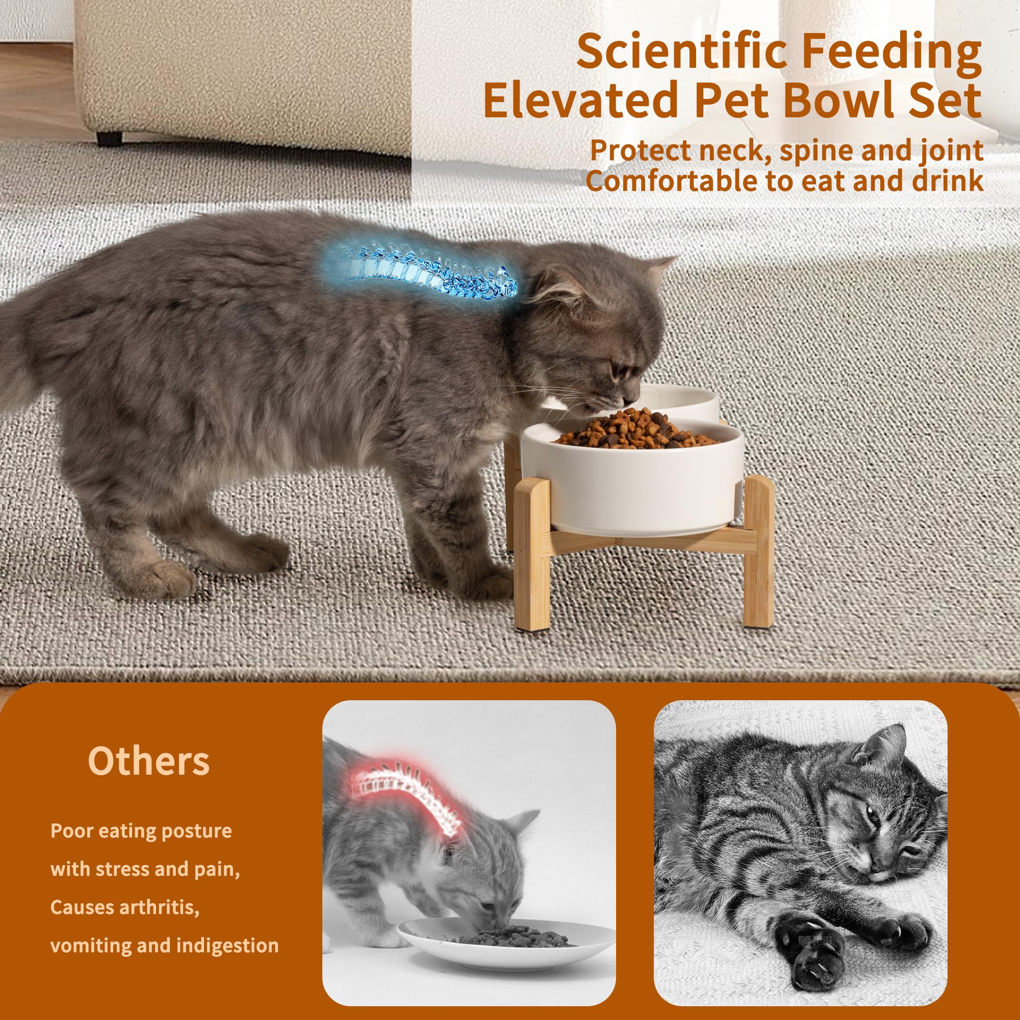 PTOBER two-size bowl set fits cats and small dogs for comfortable dining