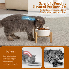 PTOBER two-size bowl set fits cats and small dogs for comfortable dining