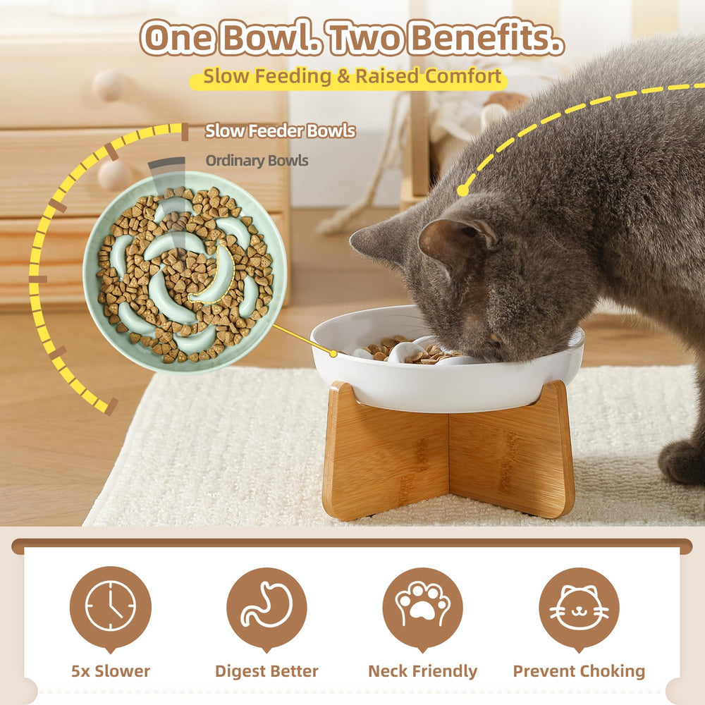 PTOBER whisker-friendly design dish accommodates whiskers during meals