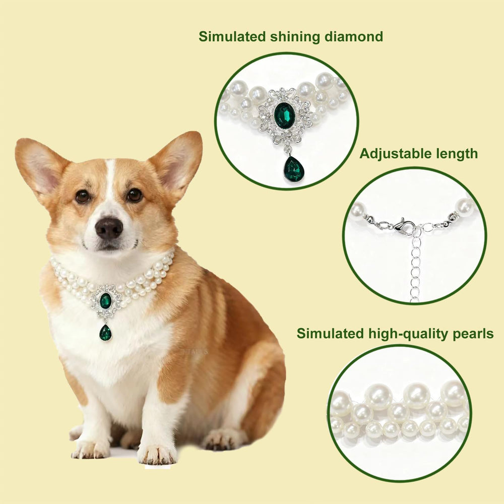 PTWSF Pearls Collar photoshoot setup—a perfect choice for memorable pet portraits.