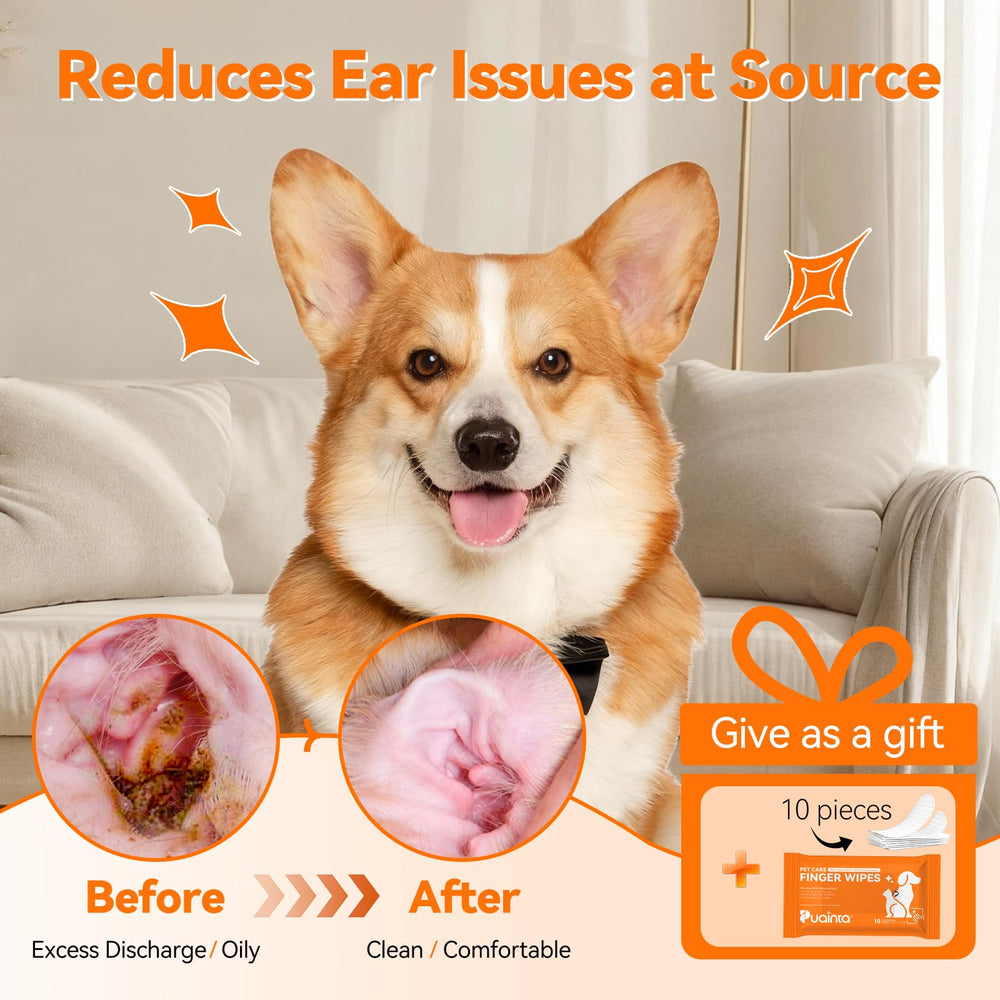PUAINTA alcohol-free ear drops for gentle cleaning.