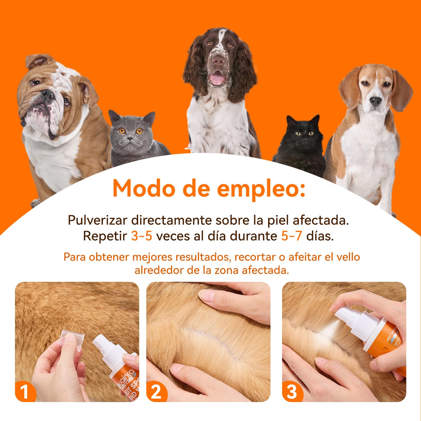 PUAINTA dog-cat daily-use spray supports ongoing itch management.