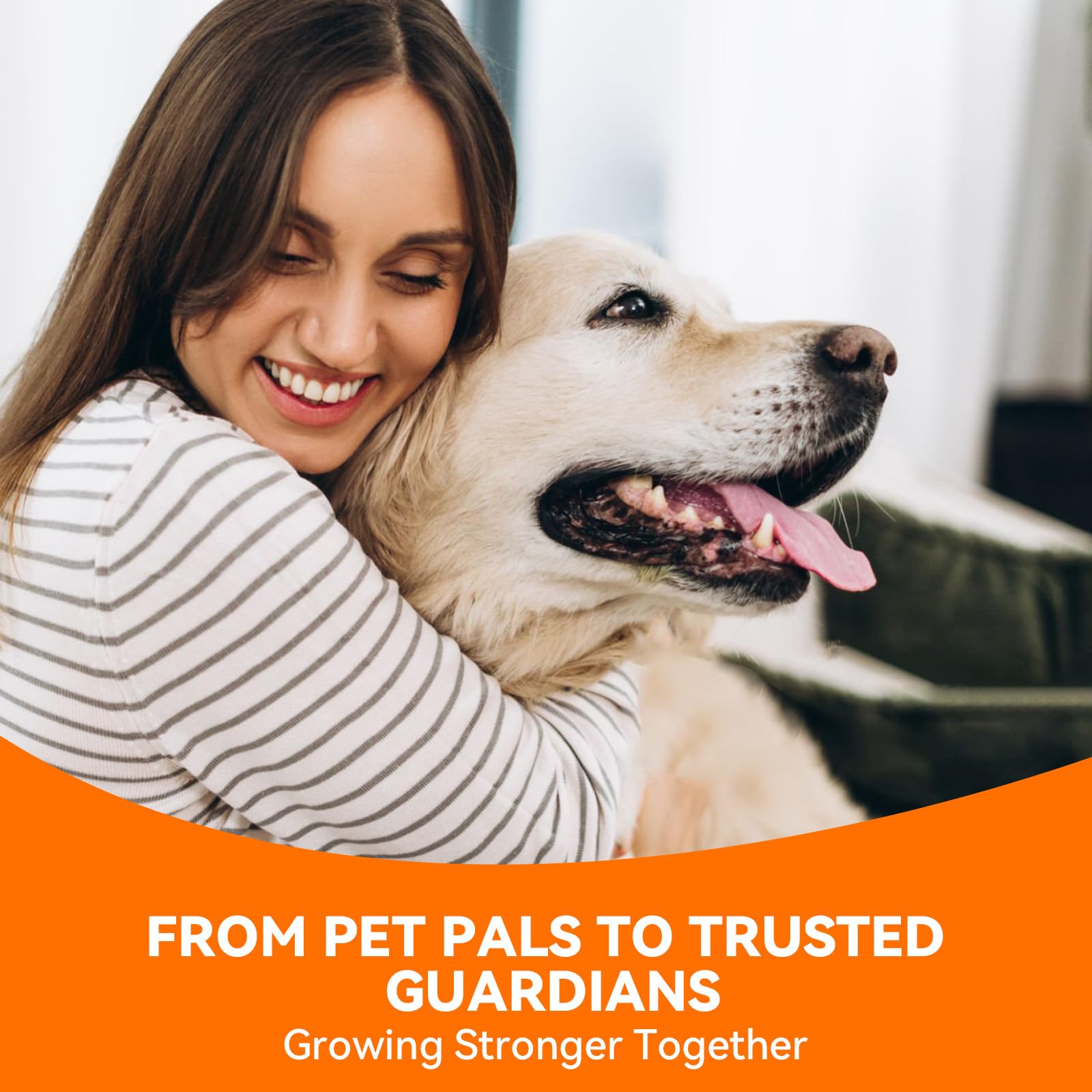PUAINTA dog ear cleaner uses for dogs and cats promotes routine ear care.