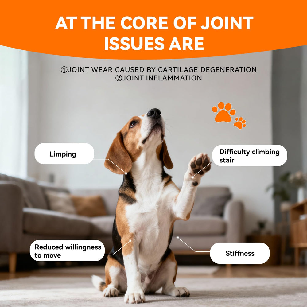 PUAINTA dog-joint-relief-30-days image suggests potential benefits within weeks of use.