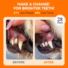 PUAINTA probiotics and vitamins close-up demonstrates gut-friendly oral care support.