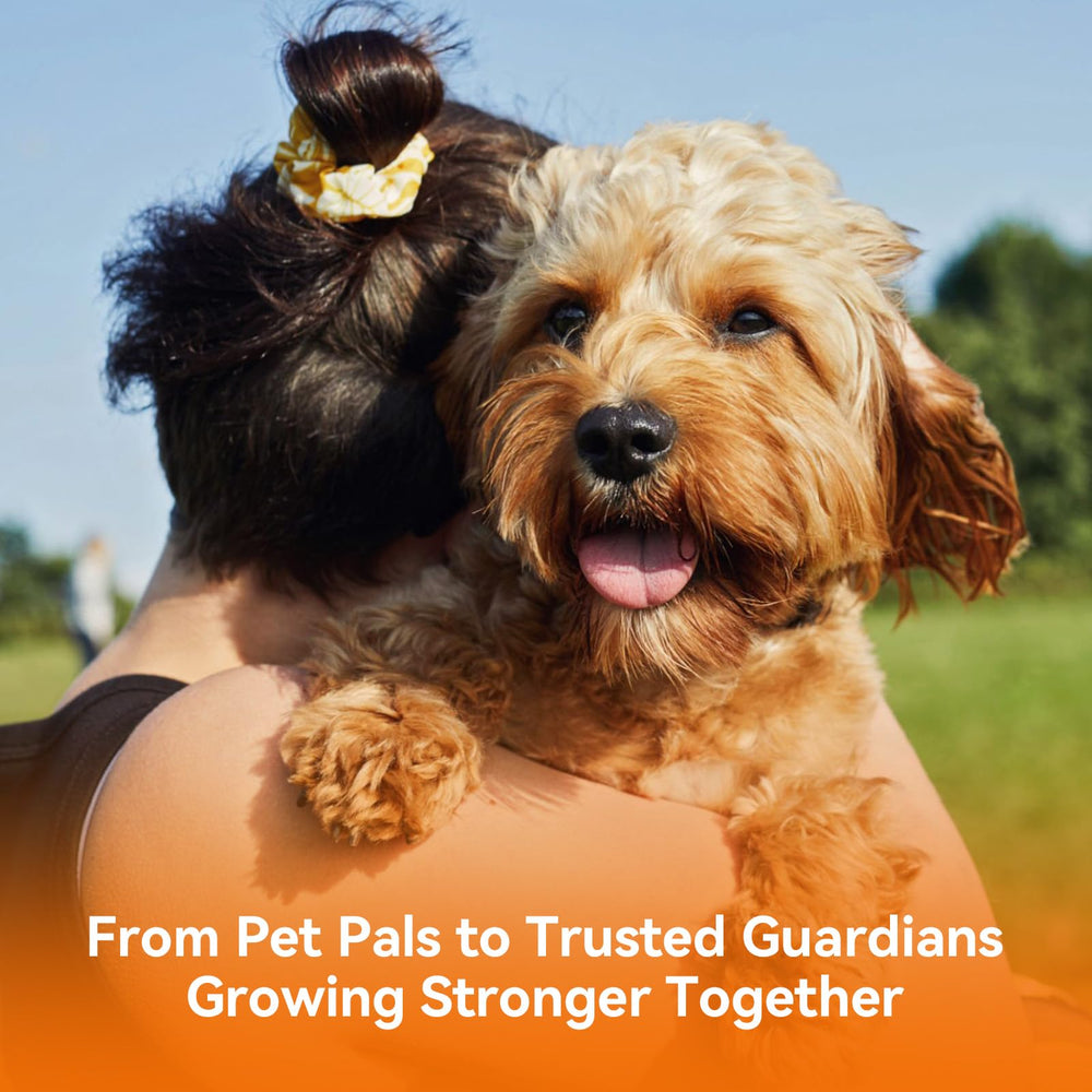 PUAINTA ear cleaner made in USA GMP certified trust and safety