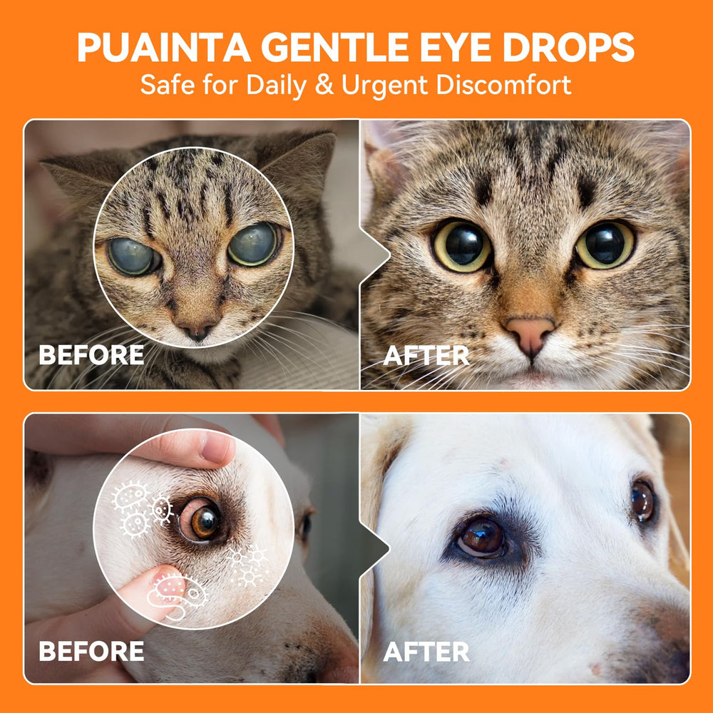 PUAINTA eye drops application demonstrates simple pet care.