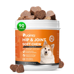PUAINTA joint chews pack demonstrates convenient packaging and mobility support for pets.