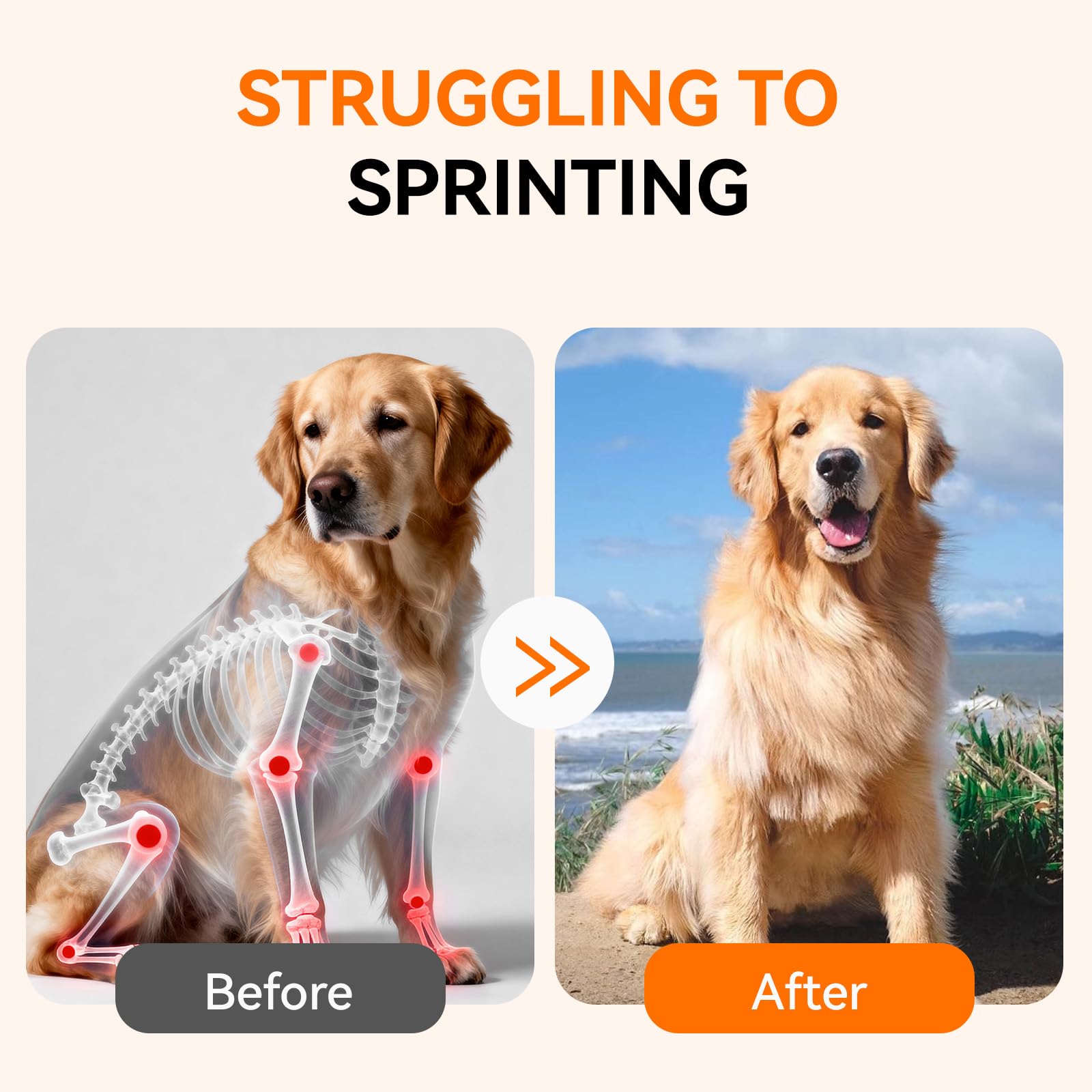 PUAINTA medium-large-dog-mobility-soft-chews close-up indicates support for bigger breeds.