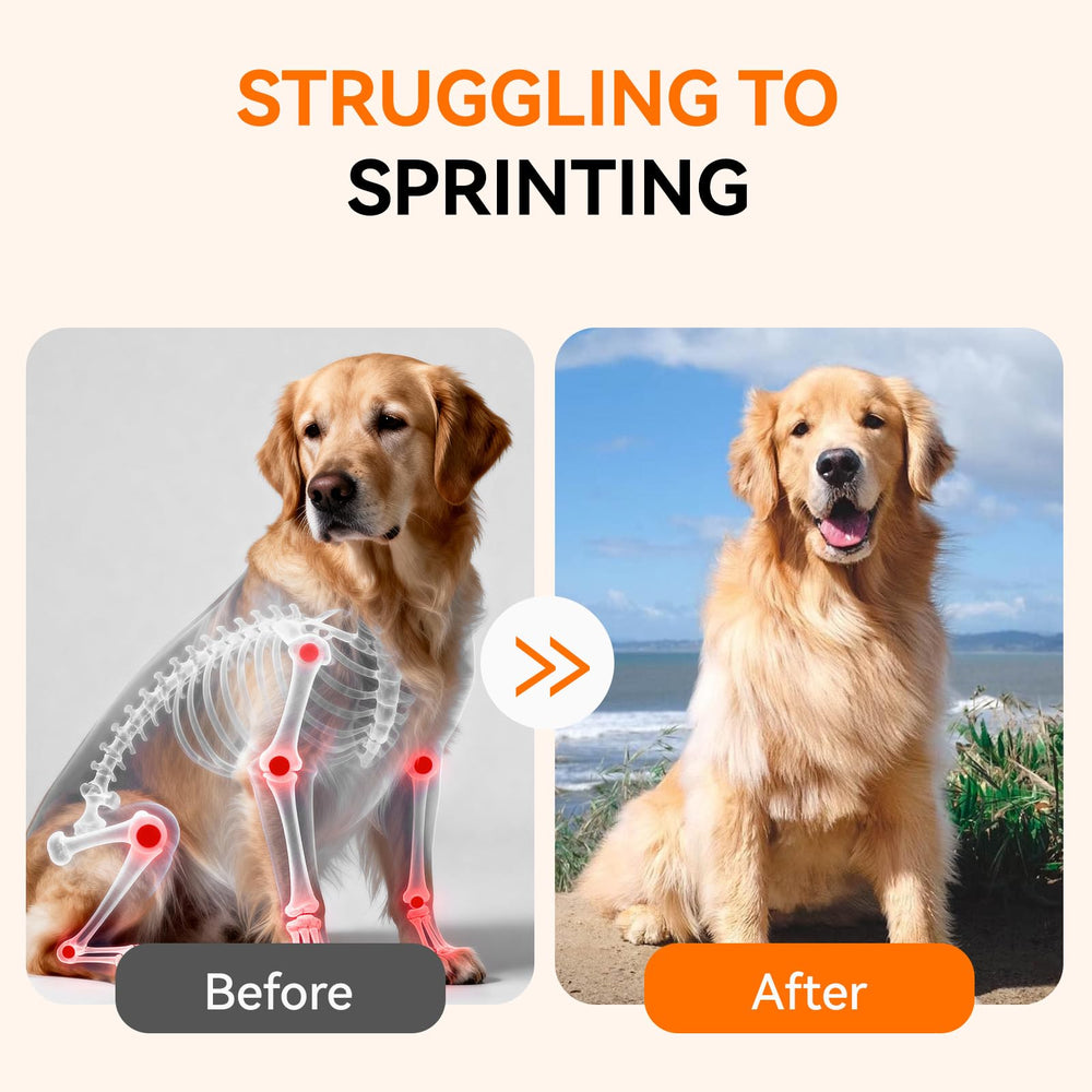 PUAINTA medium-large-dog-mobility-soft-chews close-up indicates support for bigger breeds.