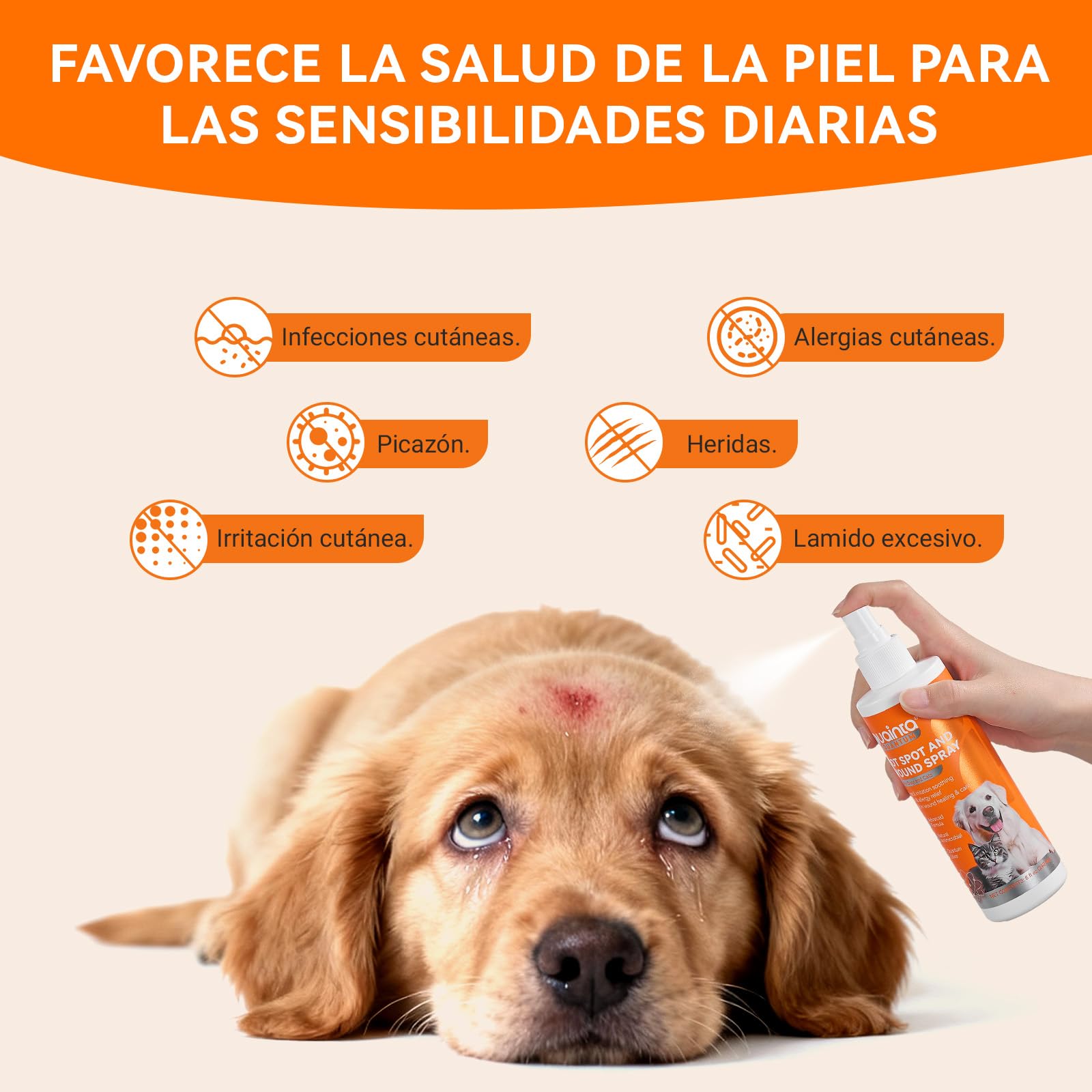 PUAINTA USA-made vet-recommended label signals quality.