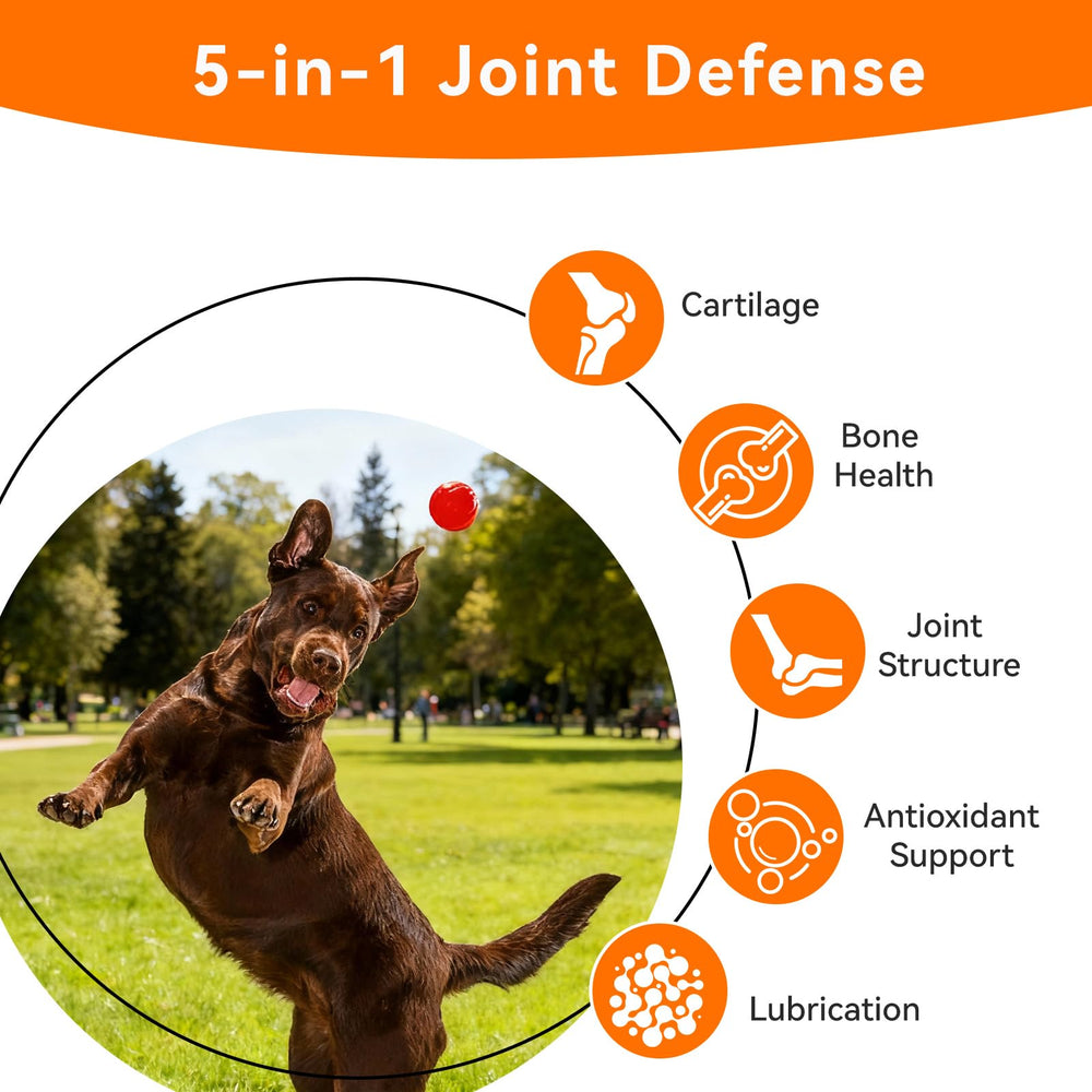 PUAINTA USA-made-vet-recommended label signals trusted, high-quality pet supplement.