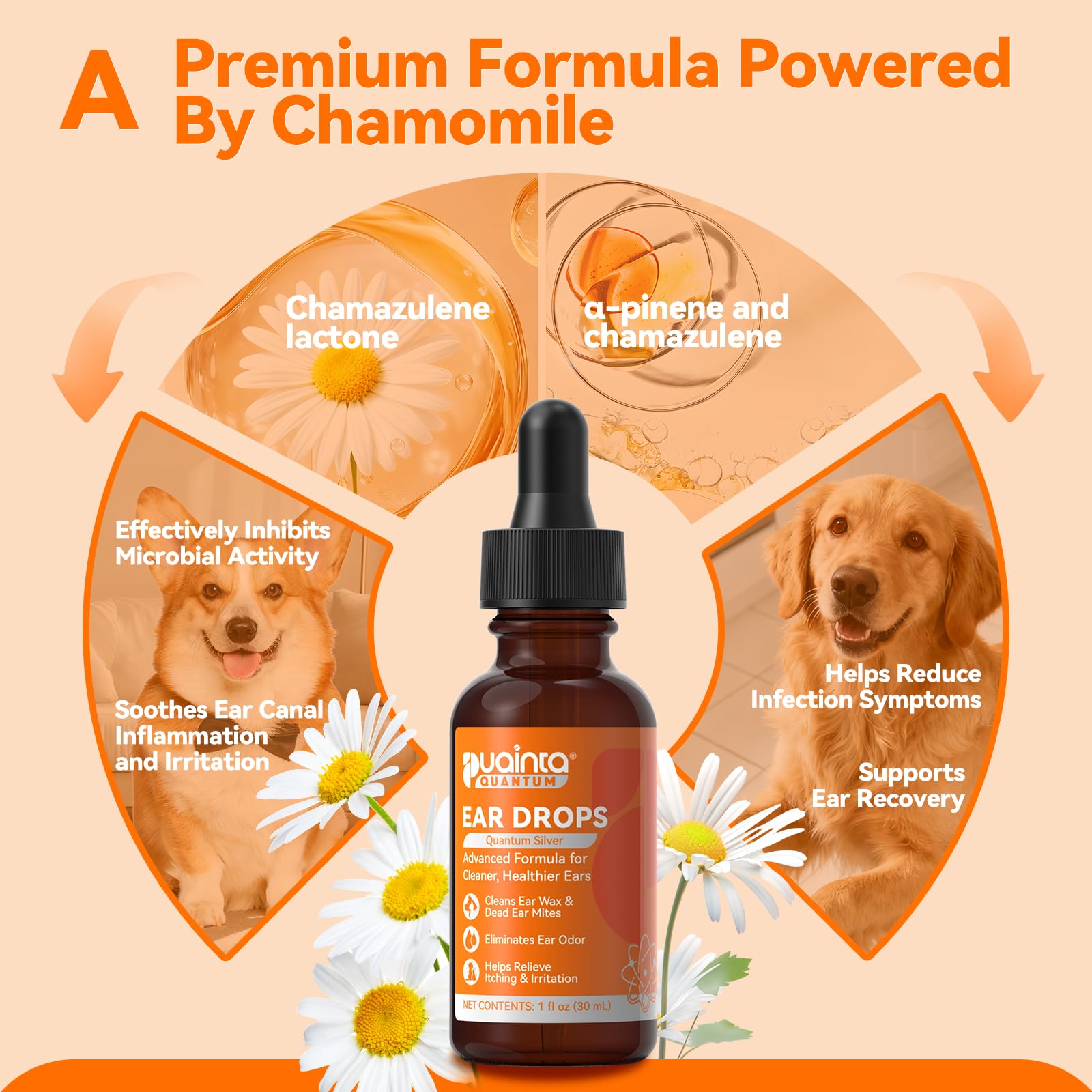 PUAINTA wax build-up remover for healthy ear hygiene.