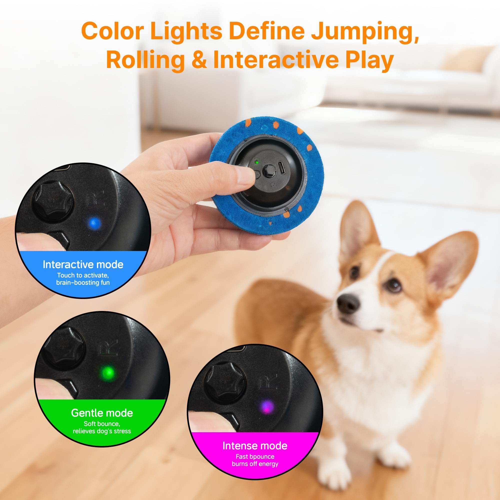 Pubialo Interactive Dog Ball interior mechanism highlighted for smart motion core.