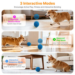 Pubialo ball pink mode demonstrates high-energy jumping for active dogs.