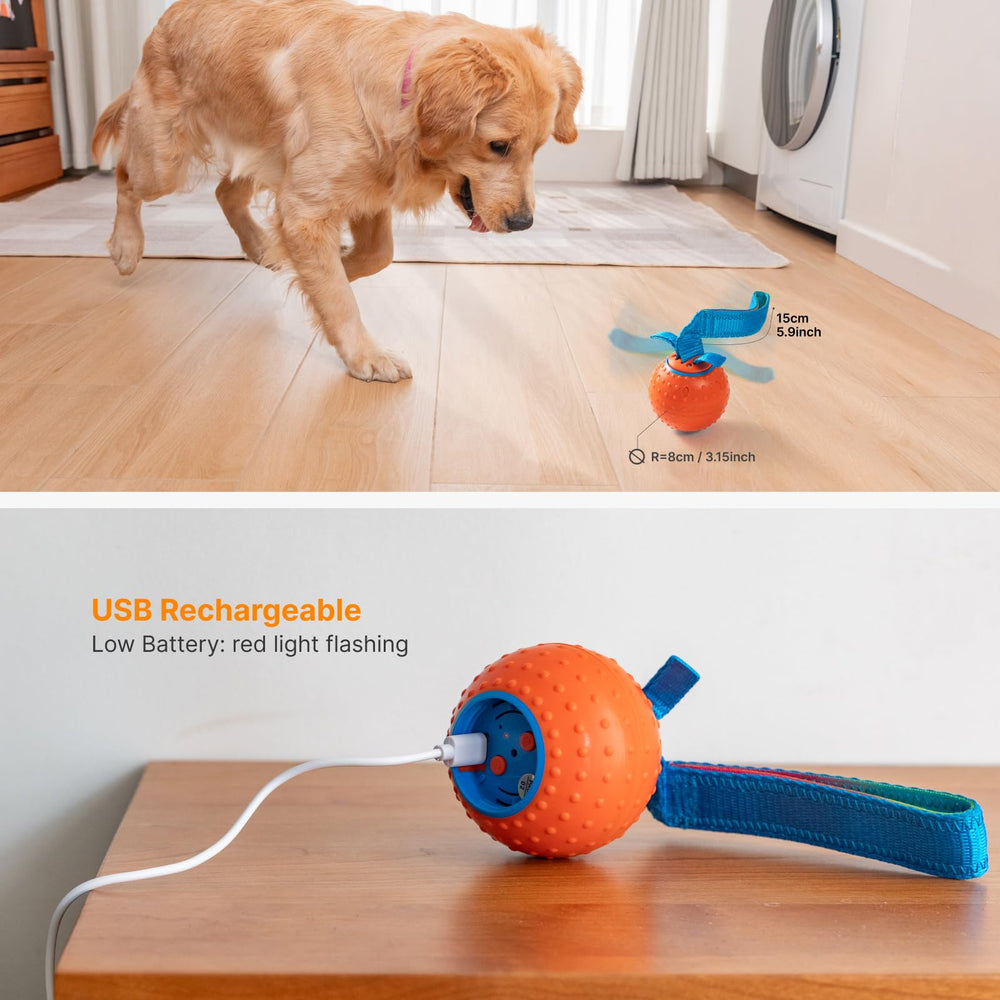 Pubialo interactive toy charges via Type-C for convenient recharging