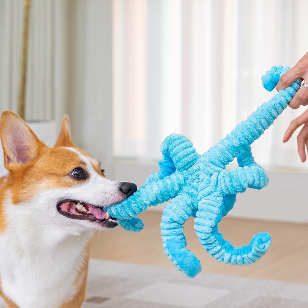 Pubialo Octopus Tug tug-of-war action demonstrates long-lasting chew