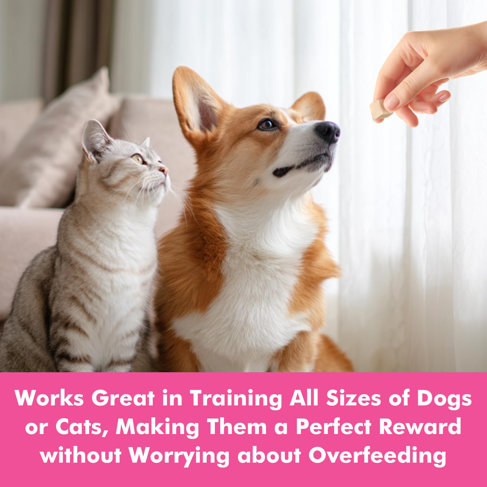 Puddonio single-ingredient chicken design ideal for picky eaters.