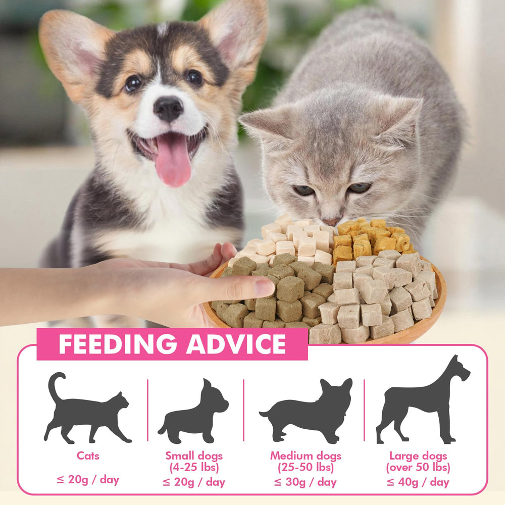 Puddonio treats being offered to a dog and cat diet-friendly choice.