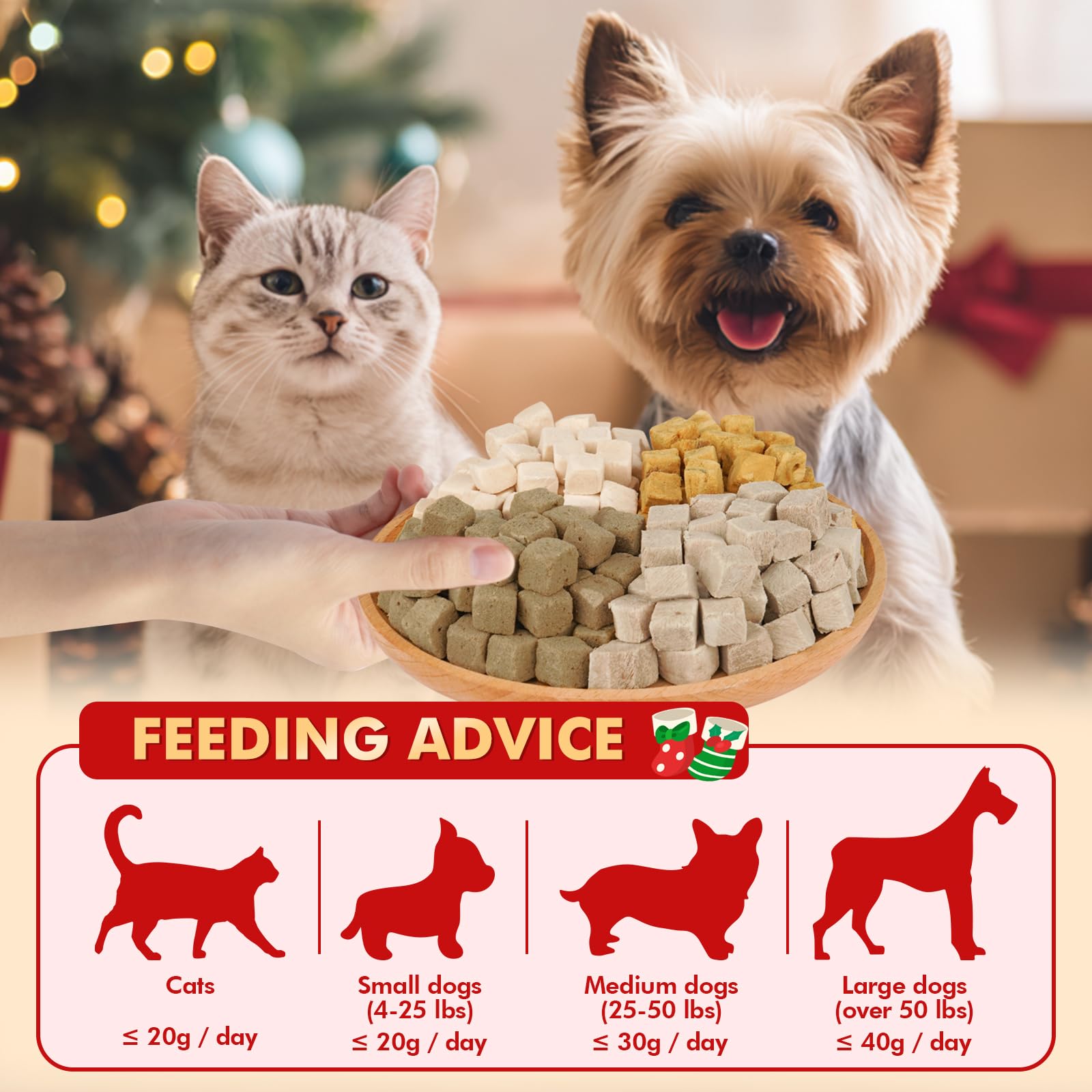 Puddonio tiny bag serving display ideal for on-the-go training