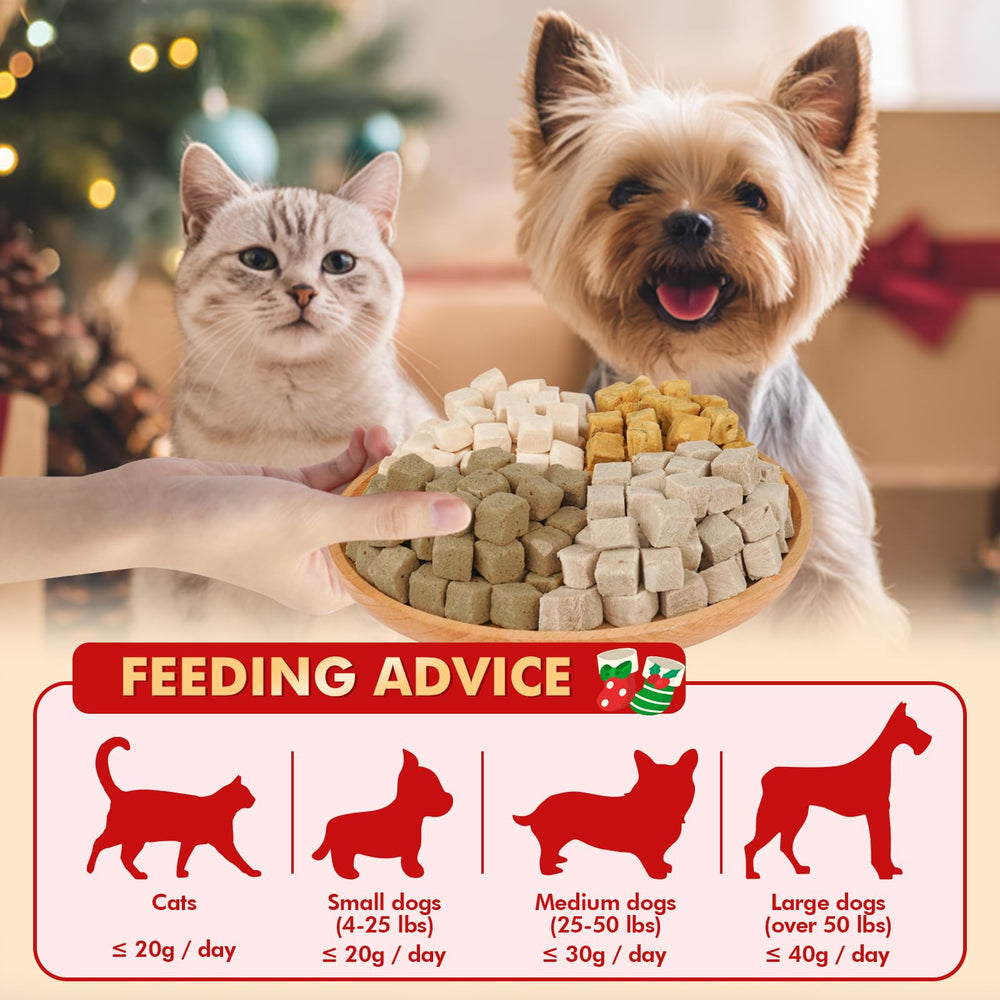 Puddonio tiny bag serving display ideal for on-the-go training