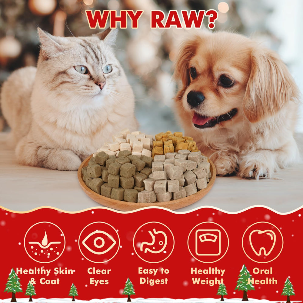 Puddonio treats close-up package showing four single-ingredient flavors for dogs