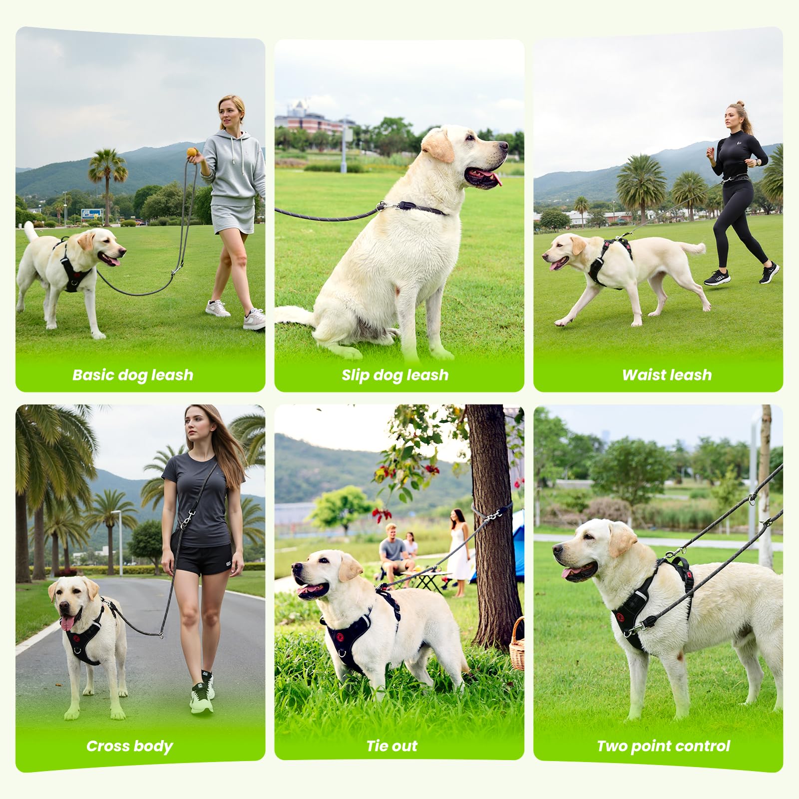 Pudiwind leather reinforcement adds durability to nylon leash