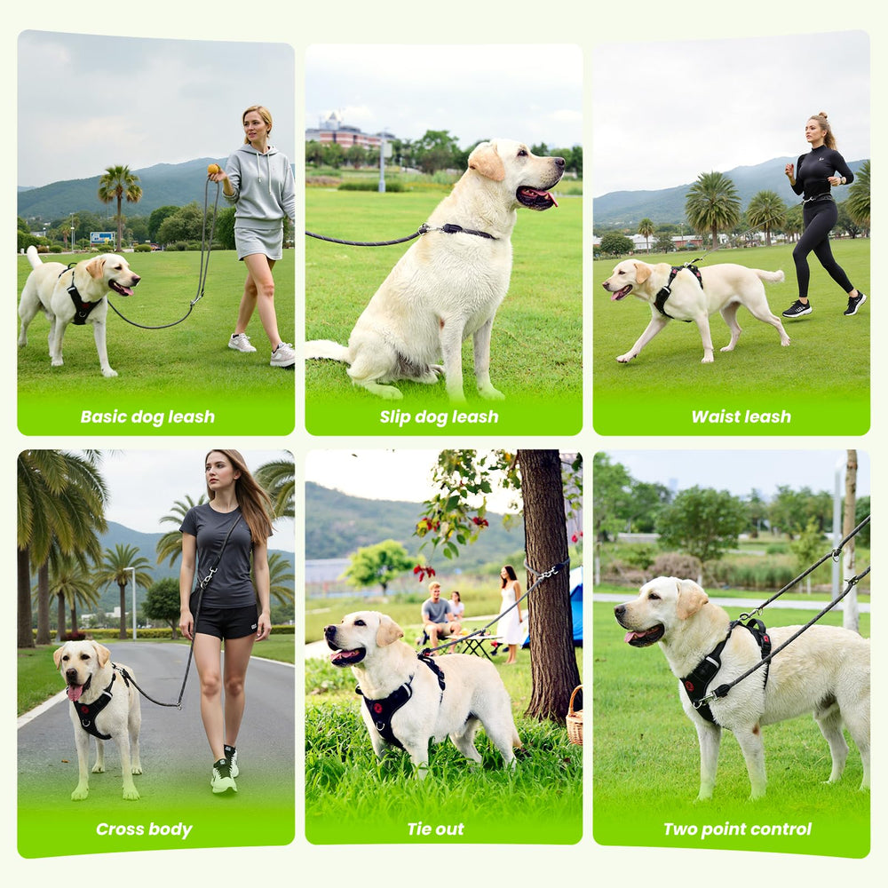 Pudiwind leather reinforcement adds durability to nylon leash