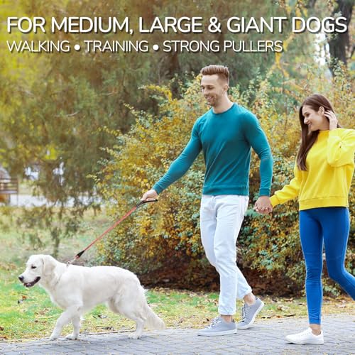 Pudiwind rope leash designed for medium to giant dogs requiring stronger control