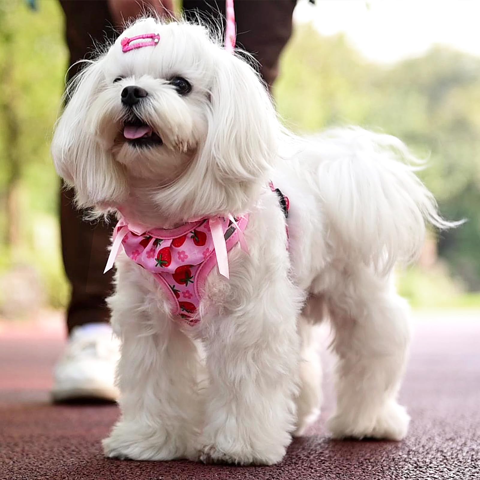 PUPTECK dog harness reflective strip night walk image emphasizes visibility and safety.