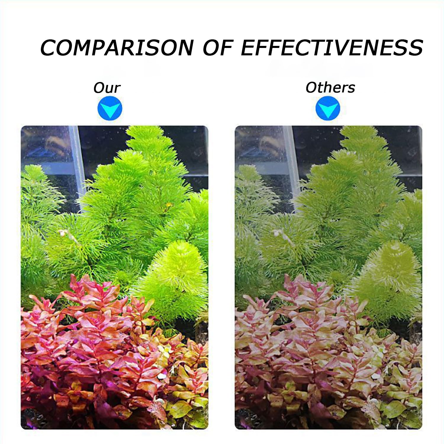 PUEUTU full-spectrum light provides natural-looking aquarium illumination.