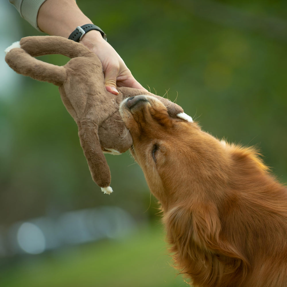 Puffy Crew Safari plush dog toy highlights reinforced stitching for long-lasting fun