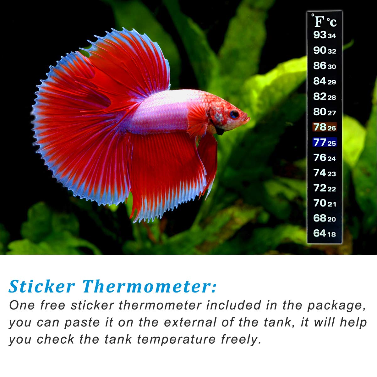 PULACO compact desktop betta tank setup for simple care.