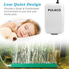 PULACO air pump with double outlet demonstrates simultaneous tank aeration