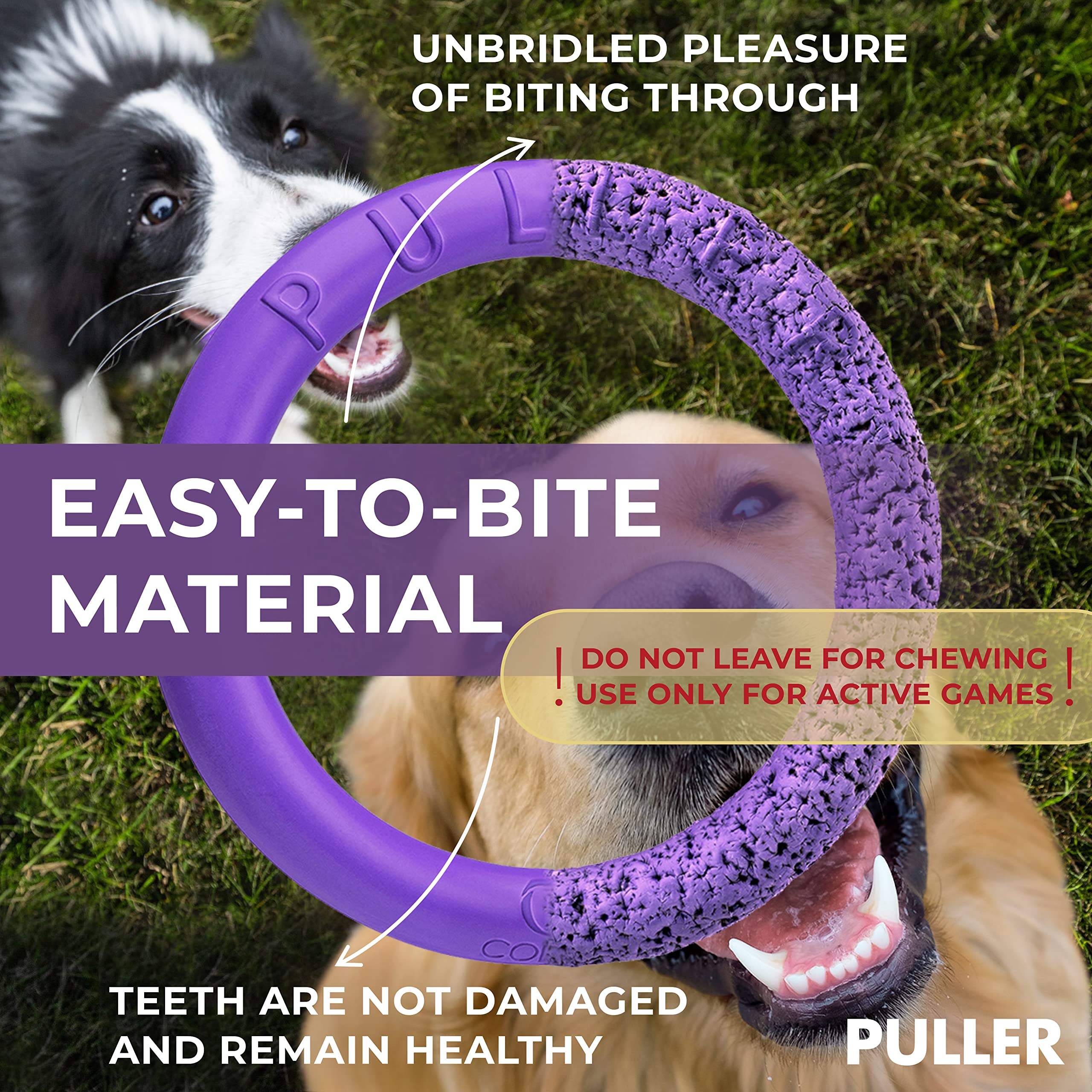 COLLAR Puller dog agility jumps tool supports dynamic exercise and coordination