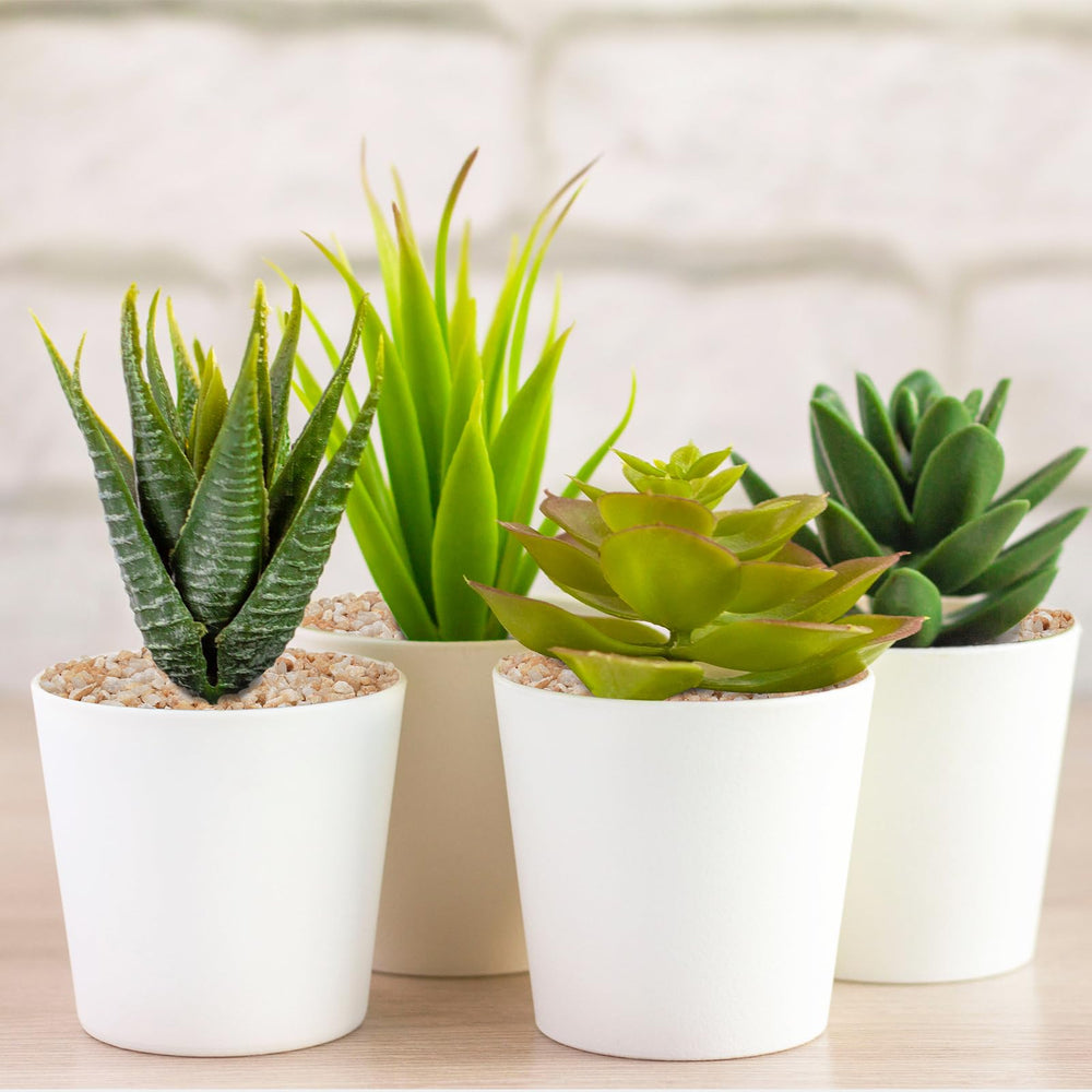 Pulovin drainage layer in a potted plant demonstrating soil protection