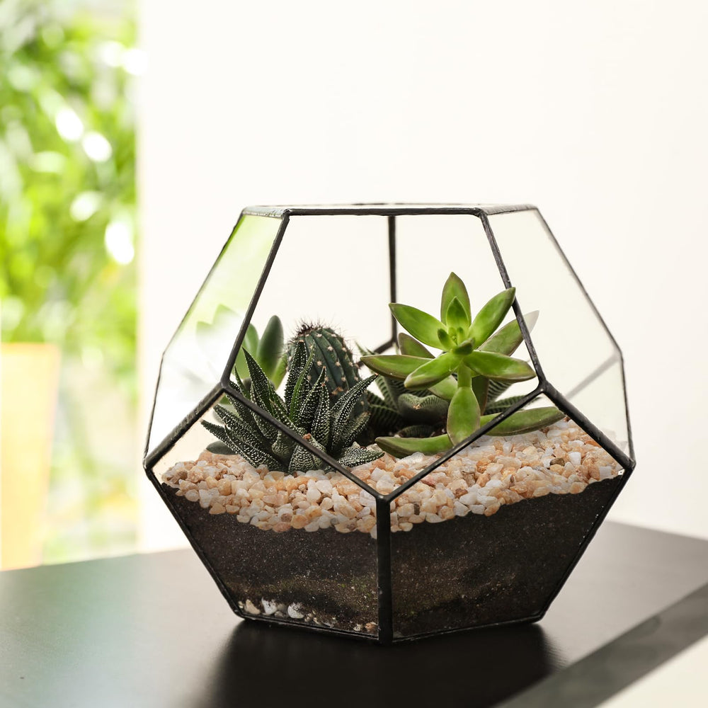 Pulovin fish tank border stones providing a natural look and safe substrate