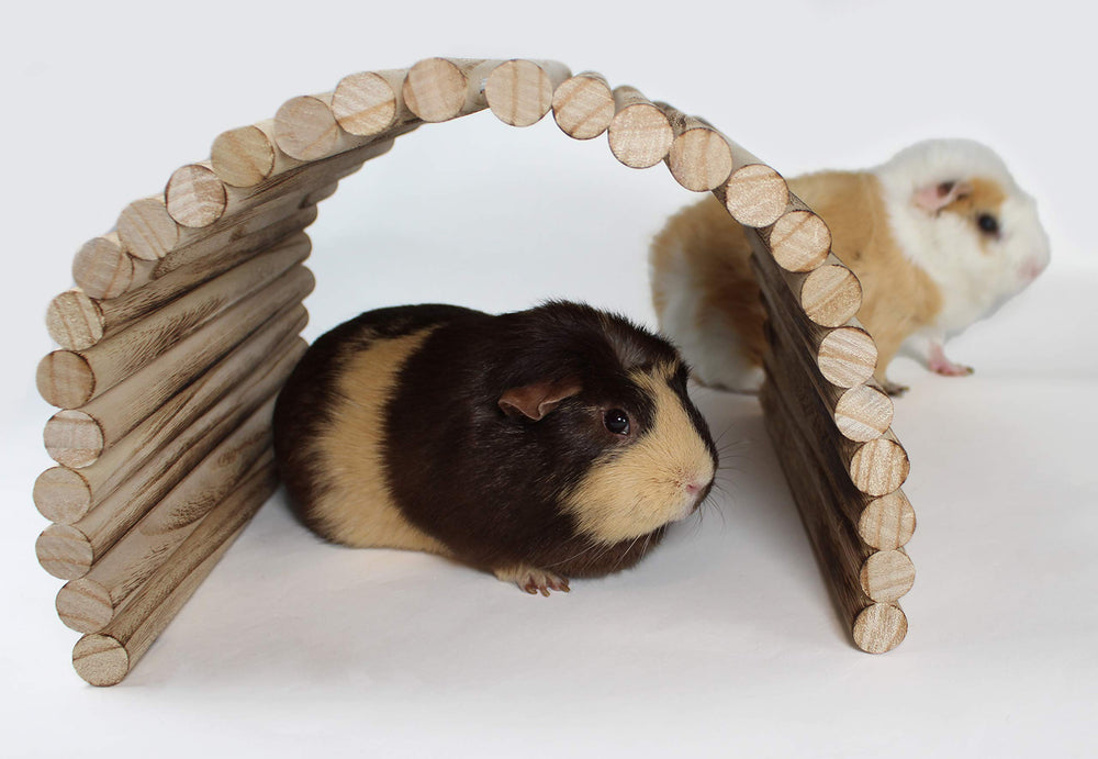 Pulse Brands Flexible Wood Hideout assembled view demonstrates flexible shape for tunnel, ramp, and bridge.