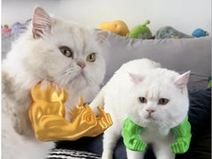 PUMEXFE Cat Muscle Arms fist-up pose highlights bold cosplay humor for social media.